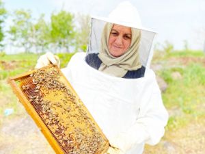 Arıların annesi arılarıyla birlikte bal için kolları sıvadı