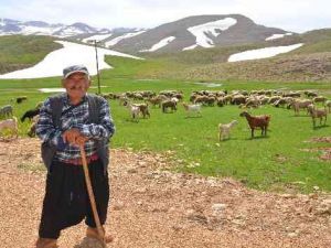 Antalya'da Yörüklerin karla kaplı yayla serüveni başladı