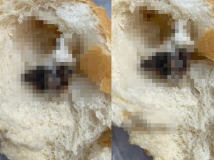 Ekmeğin içinden fare çıktı, piknik yapmaya hazırlanan aile soluğu mahkemede aldı