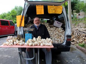 Doğal antibiyotik, fiyatı artmayıp düşen tek sebze oldu