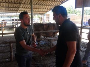 Eller, kurban pazarlığı için bir araya geldi Kurban pazarında sıkı pazarlıklar başladı
