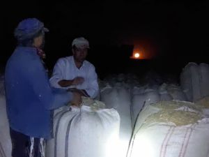 Ay ışığında çalışıyorlar, günlük 500 lira kazanıyorlar