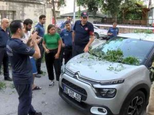 Üsküdar'da asırlık ağaç otomobilin üzerine devrildi