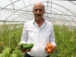 Kurduğu serada 10 yıldır ürettiği sebzeleri ihtiyaç sahiplerine bedava dağıtıyor