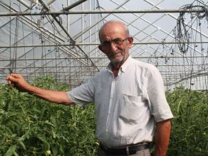 50 yıllık çiftçi ata tohumlarına gözü gibi bakıyor