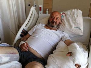 Ayının saldırısına uğrayan yaşlı adam tedavi altına alındı